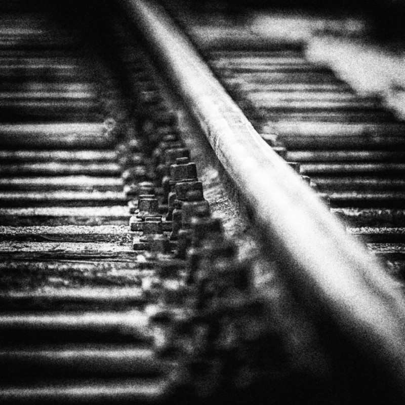 winter-grain_2